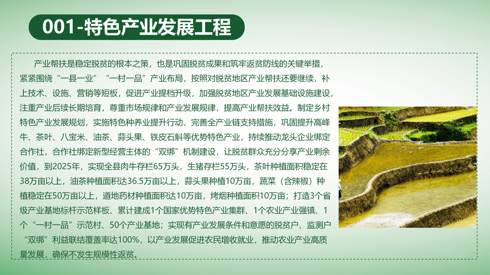 图文解读：广南县乡村振兴重点帮扶县巩固拓展脱贫攻坚成果同乡村振兴有效衔接实施方案（广巩固振兴组发〔2023〕 4号）_10