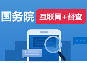 国务院互联网+督查